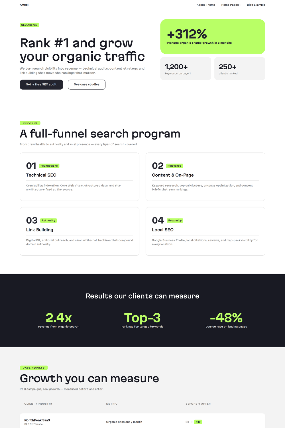 SEO Agency homepage design